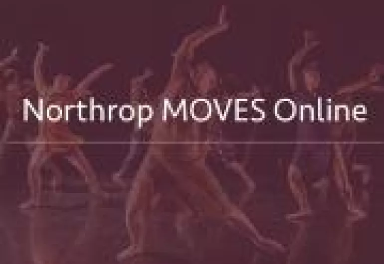 Northrop MOVES Online - Gallim