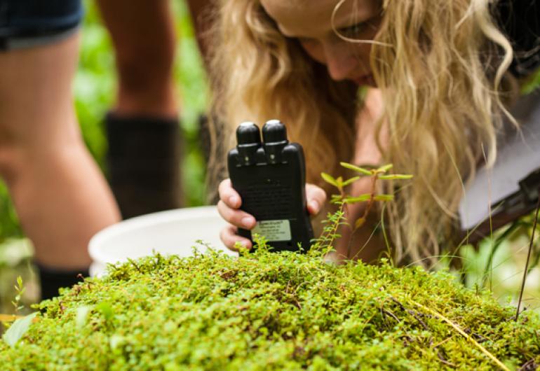 A patch of bright green moss, a female with blonde hair looks closely at the moss and is holding a small scientific instrument.