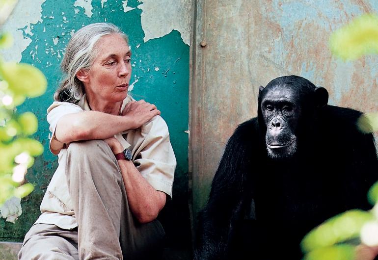 Tomorrow and Beyond: An Evening with Dr. Jane Goodall