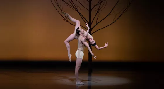 Link, BalletMet event page