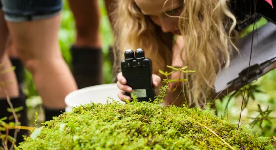 A patch of bright green moss, a female with blonde hair looks closely at the moss and is holding a small scientific instrument.