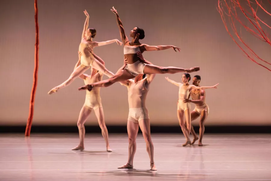 Ballet dancers doing lifts.