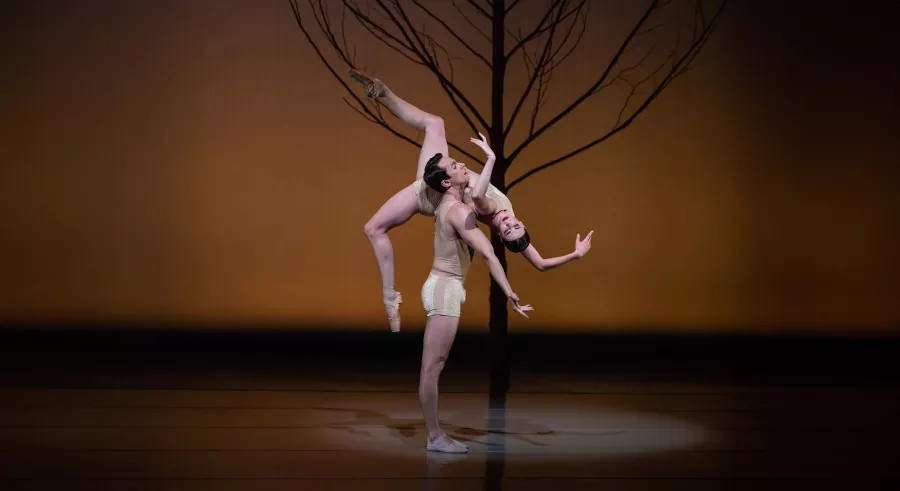 One dancer lifts another by a thin tree on stage.