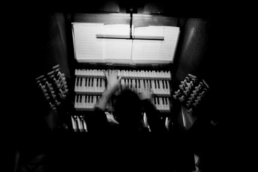 View from above - Kit at the organ 